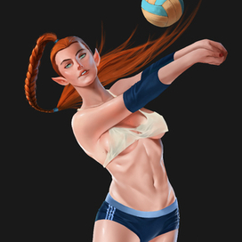Elf volleyball