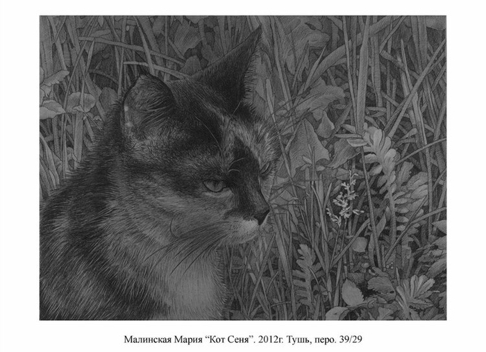 Кот Сеня (толстый и строгий)