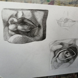 натюрморт академический рисунок