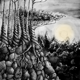 Сказочный лес