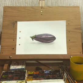 Мой баклажан