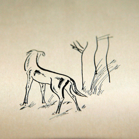 книга о собаках