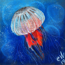 Морская медуза в ярких тонах