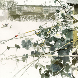 Летний солнечный день.