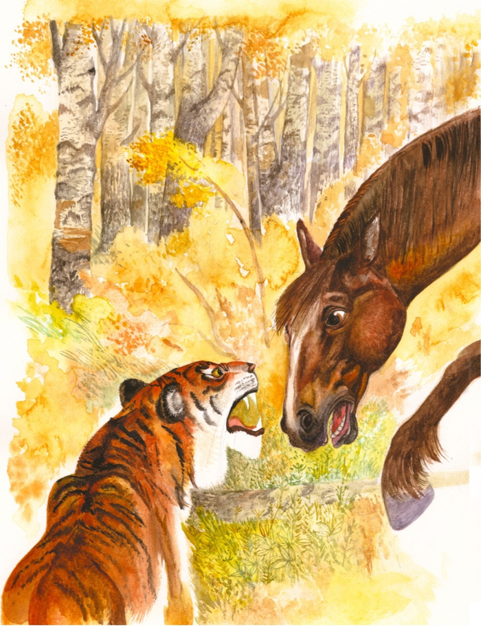 Удэгейские сказки