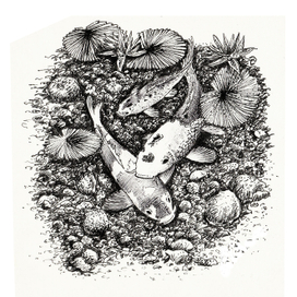 Подводный мир