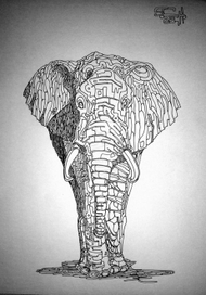 слон сангвиник