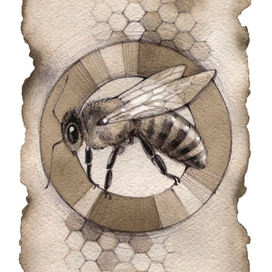 Пчела
