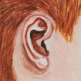 Ухо "части пазла"