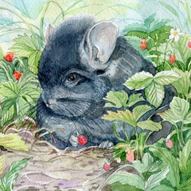 Валькирия Торовна