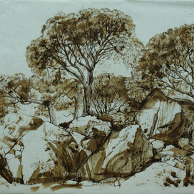 "Сосны.Хаос",2011