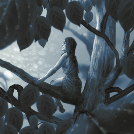 прекрасный вид