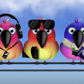 Птицы - граждане Мира