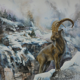 Покоритель вершин 