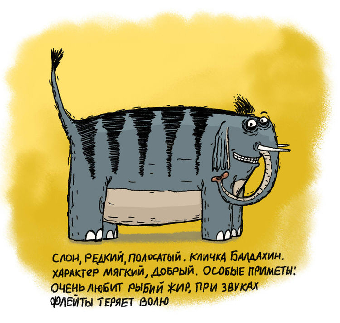 Слон полосатый