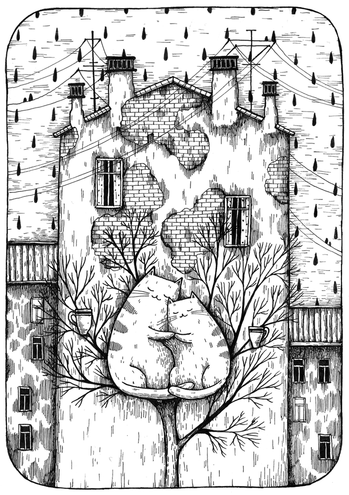 Котеньки в Питере