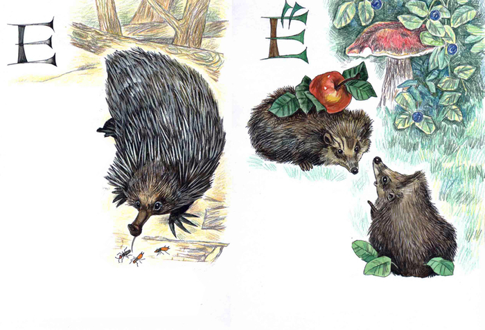 Андрей Усачёв "Зоология для детей"