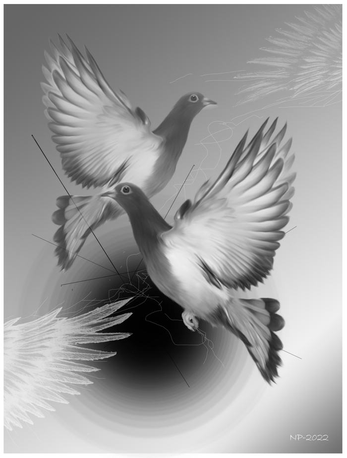 Шито белыми нитками