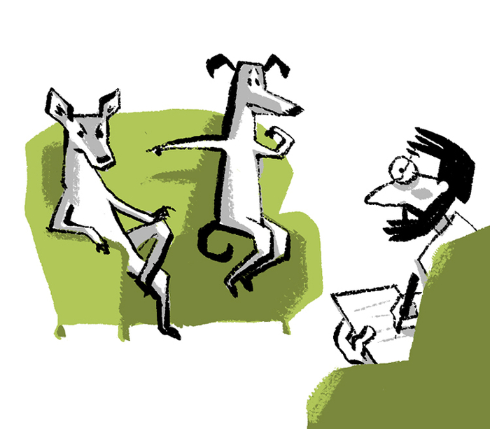 так мои собаки ходили к зоопсихологу