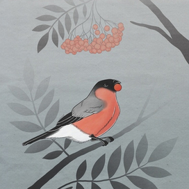 Bullfinches on rowan woof