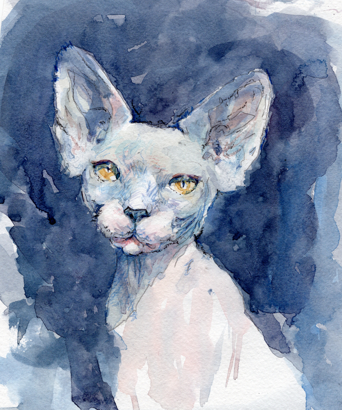 иллюстрация для книги