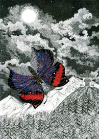 Волшебный сон. 