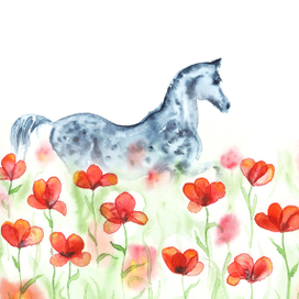 Конь в маках