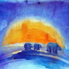 жители севера