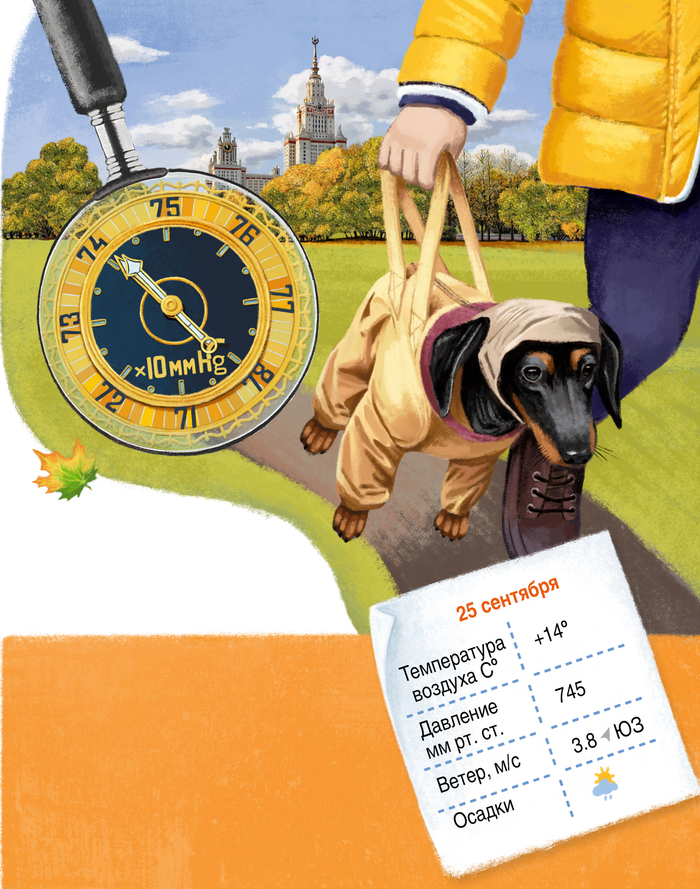 У природы нет плохой погоды. Барометр.