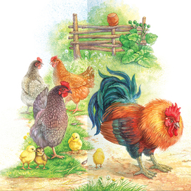 Петя-Петушок