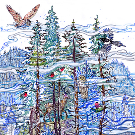 Волшебный лес.