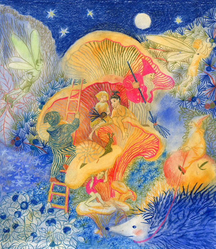 В Волшебном лесу