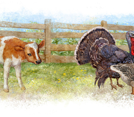 Не мое дело. Делегация к кроту