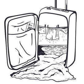 Билет и чемодан