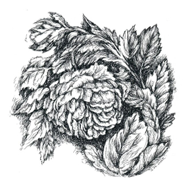 "В ТИХОМ САДУ..."