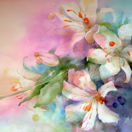 лилия белая.