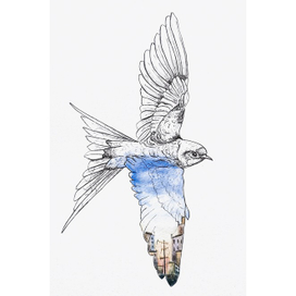 Ласточка и город 