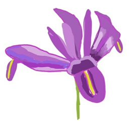 Весенний ирис