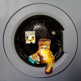 Пропал без вести