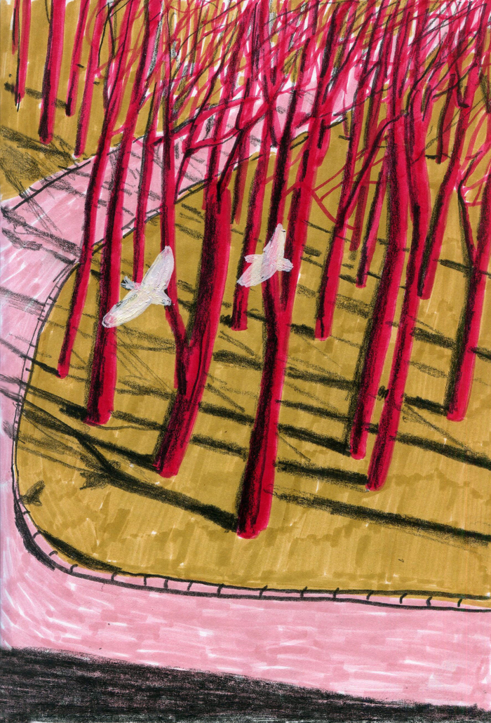 Вид из окна