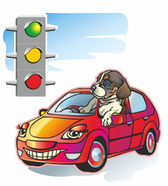 щенок на авто