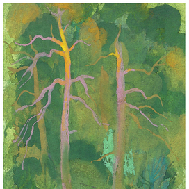 "Сёстры"  Воспоминания о лесе