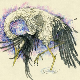 Журавль и цапля