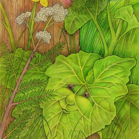 Привет,сосед!