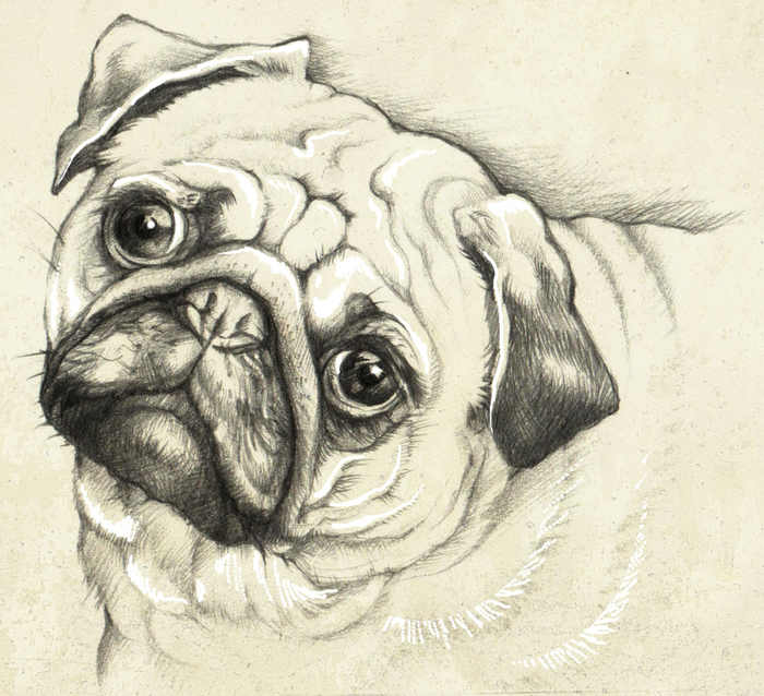 ГРУСТНЫЙ МОПСИК