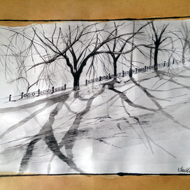 Ночь. Зима. Тени.