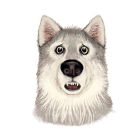 Ух, ты! Не боишься? Я волк!