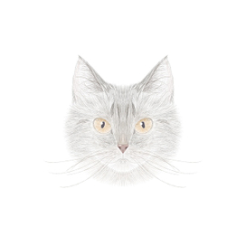 Портрет Кошки Муси