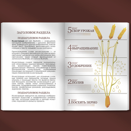 Инфографика и верстка