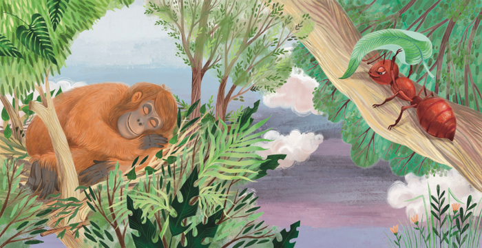 Кто как спит. Издательство Робинс